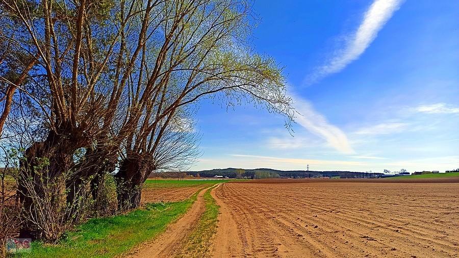 Widok na Grodzisko