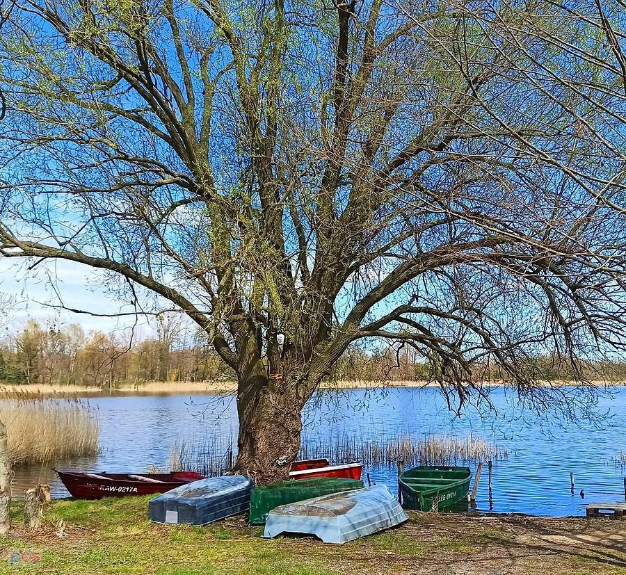 Łódki nad Jeziorem Łoniewskim
