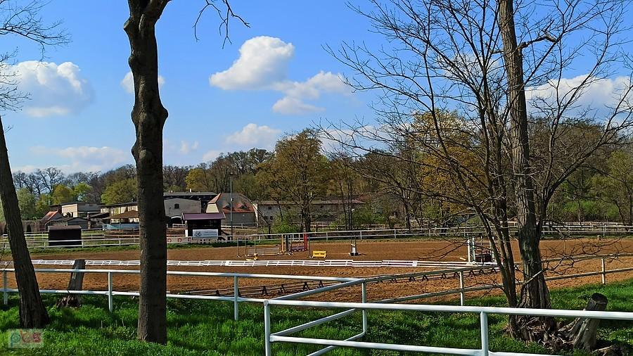 Stadnina w Jeziorkach