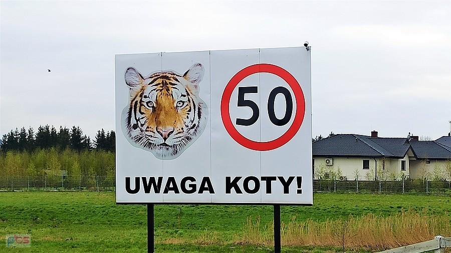 Przy wjeździe do Osiecznej od strony Gostynia