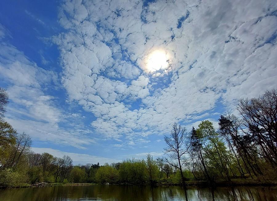 Skorupiaste niebo nad Dębiną