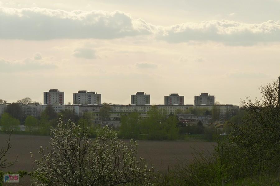 tarnogórski Manhattan