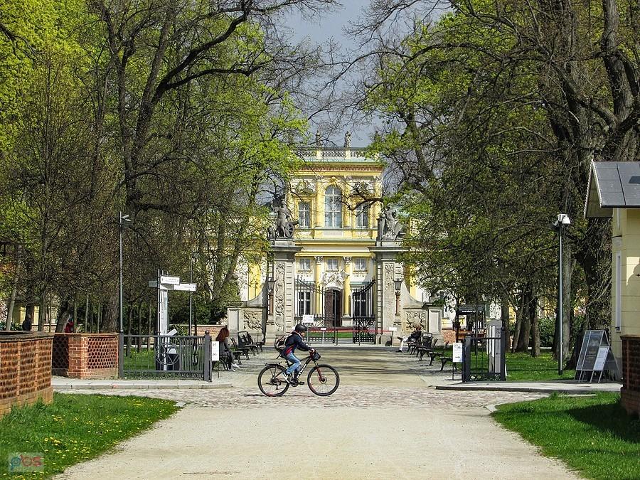 Alejką wprost na Pałac