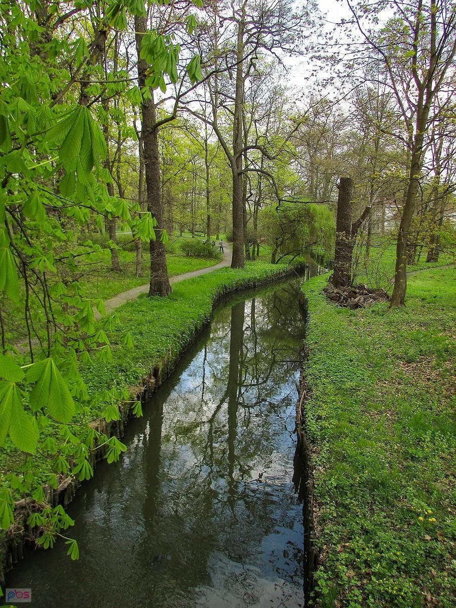 Potok Służewiecki przepływa przez Park Pałacowy