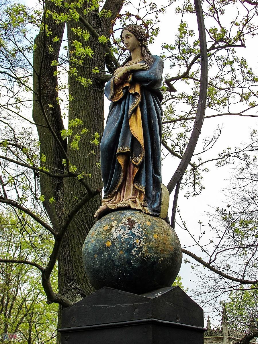 Immaculata wilanowska