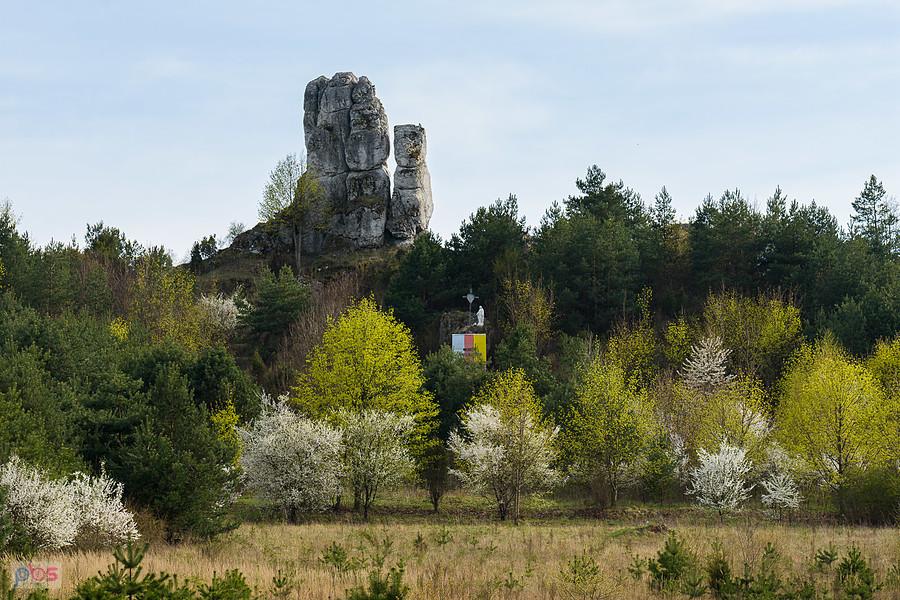 Skały Rzędkowickie
