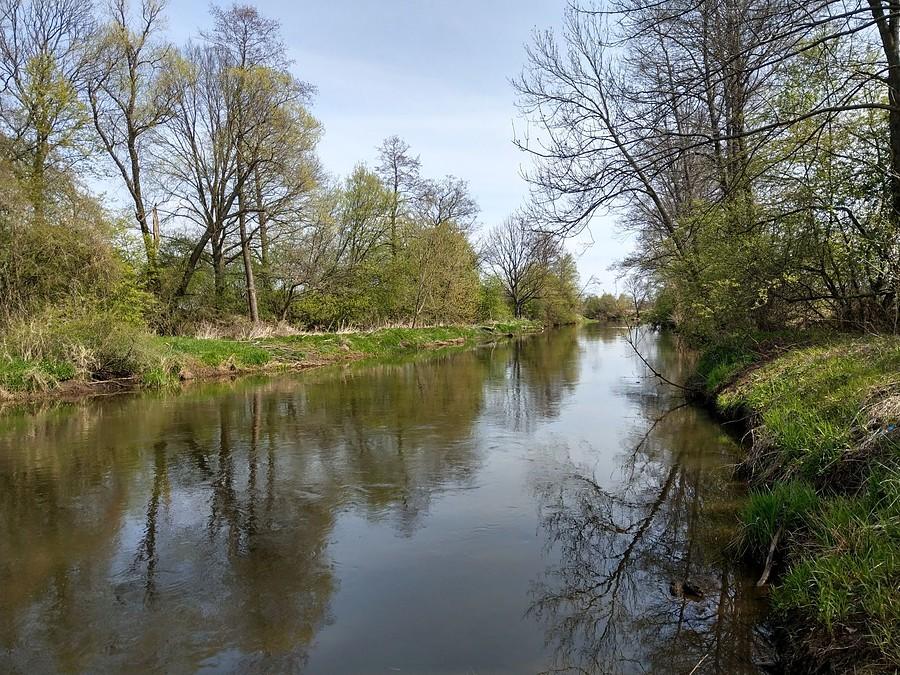 Warta koło Skrzydlowa