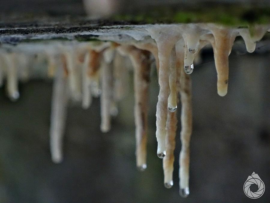wiaduktowe speleothemy