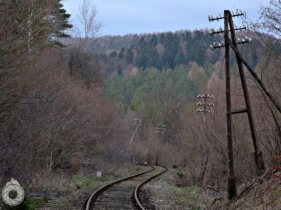 niby nie na torach, ale całe życie na torach