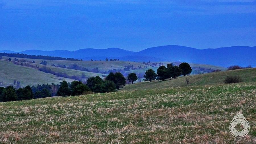 podwieczorne Bieszczady