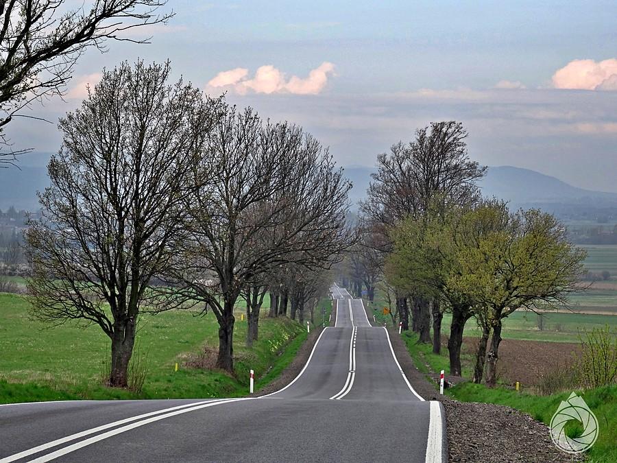 pofalowany ale gładki, asfalt z N.Żmigrodu