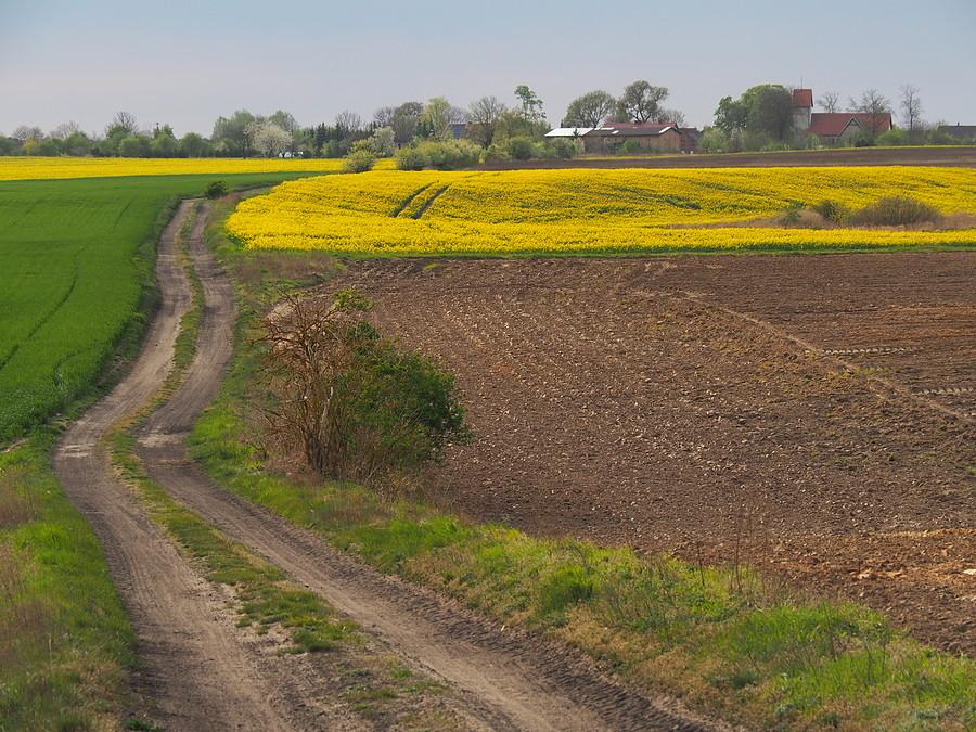 Polna droga do Sułowa