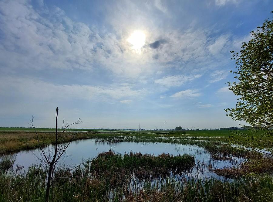 Klimacik nad zalewem w Szczodrzykowie