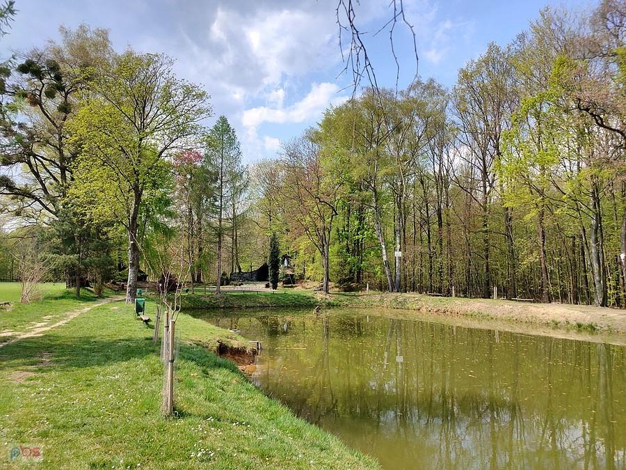 Staw koło Groty