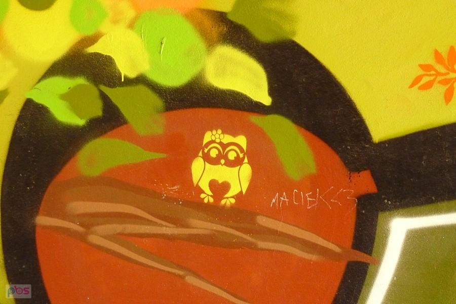 mała sowa