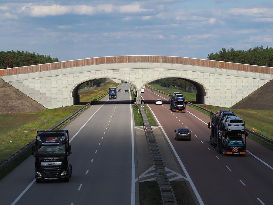 Rzut oka na A2 i most dla zwierząt