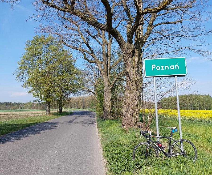 Rzepakowa granica Poznania :)