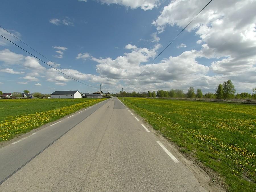 Żółto - zielono