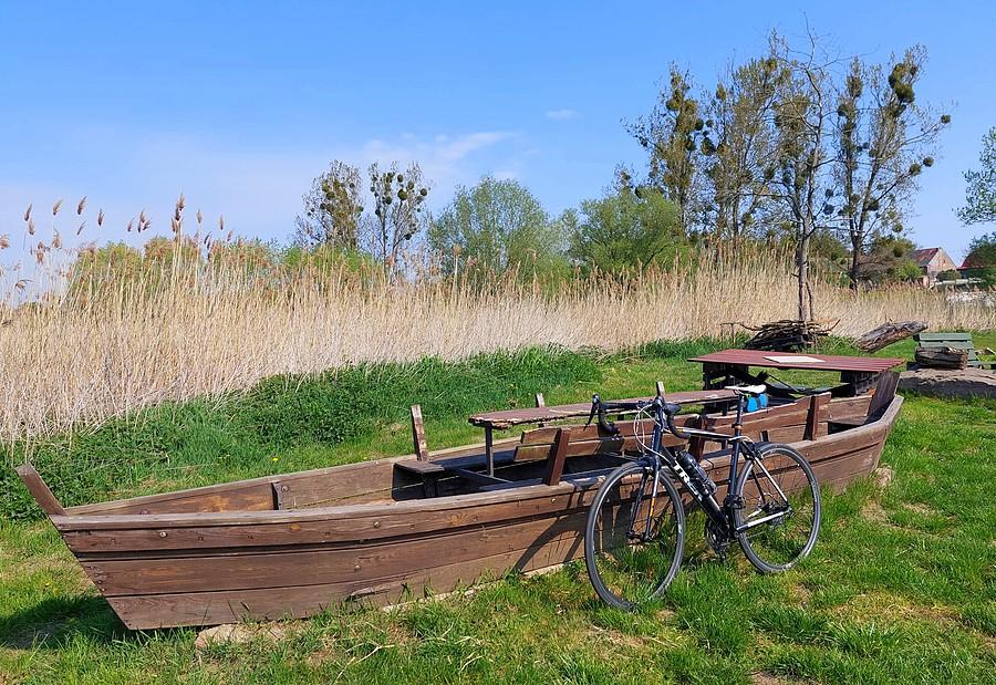 Łódka wróciła na swoje miejsce, Port Radzewice