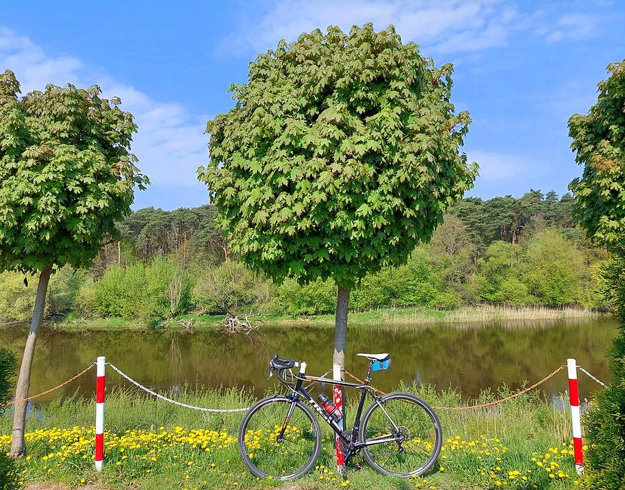 Nad Wartą w Wiórku