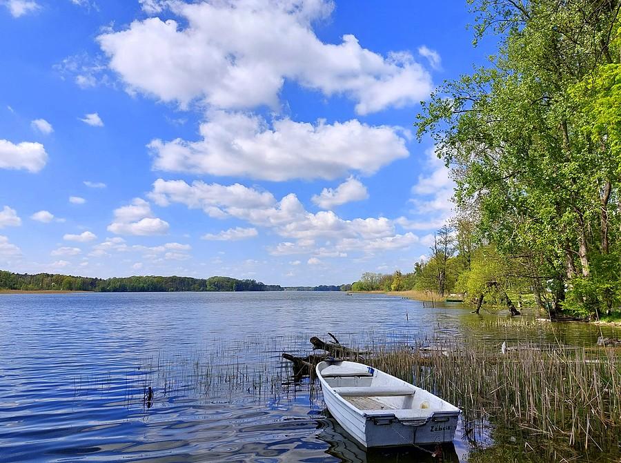 Jezioro Lusowskie w słońcu