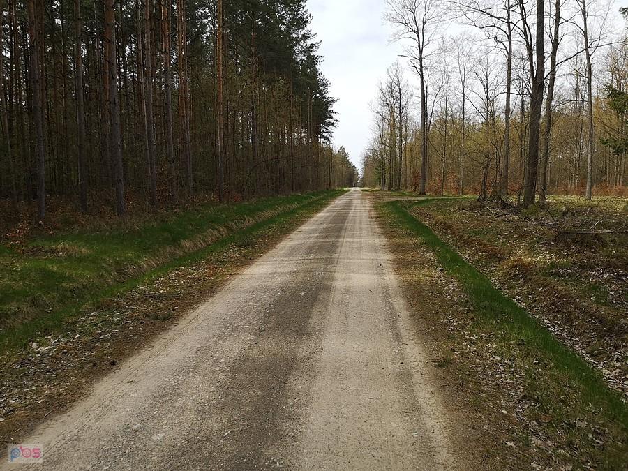 Na szlaku w Bolimowskim PK