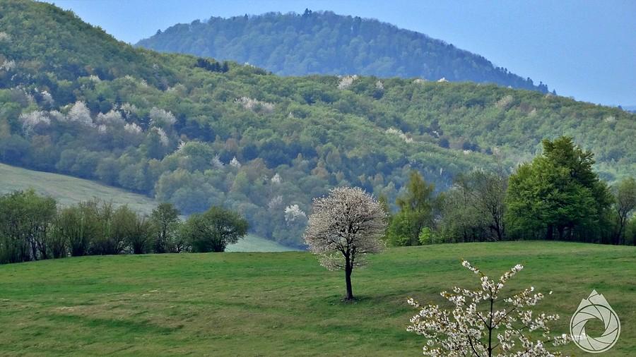 pod granicą nad Beherovem