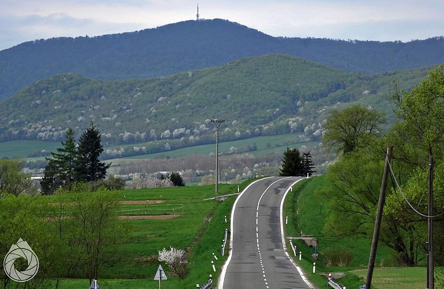 zwyczajowa hopka pod Stebnicką