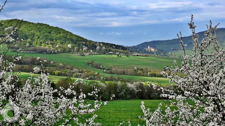 gdzies z drogi na Sarisski Stiavnik