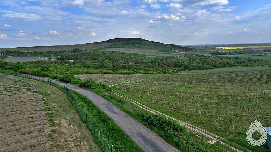 widoki na czarną górę i winnie w stronę obniżenia Bodrogu