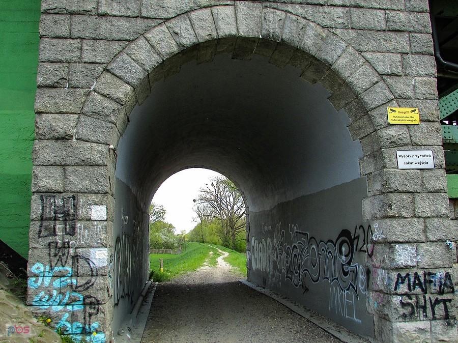 Tunel pod DK 50