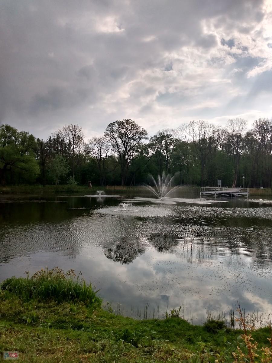 Staw w Ołtarzewie