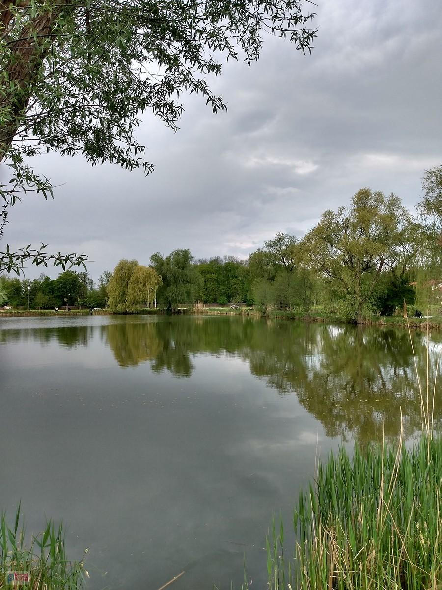 Staw w Zielonkach