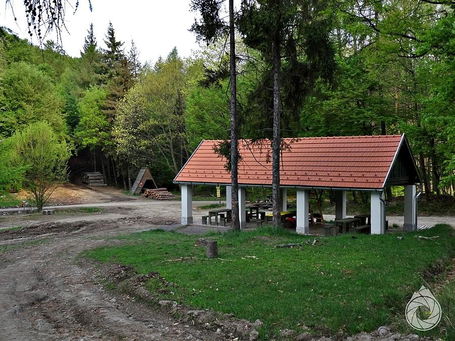 Wiata i wiata z rana