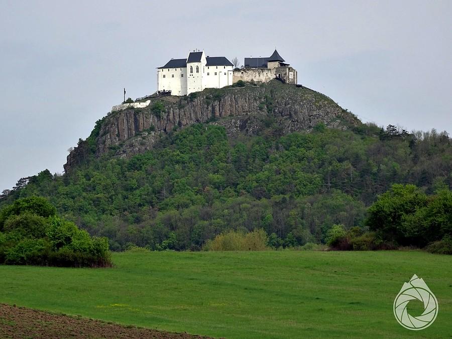 Fuzeri var nad łąką