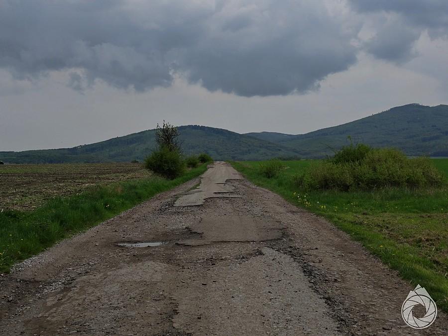 dróżka gdzieś pomiędzy polami