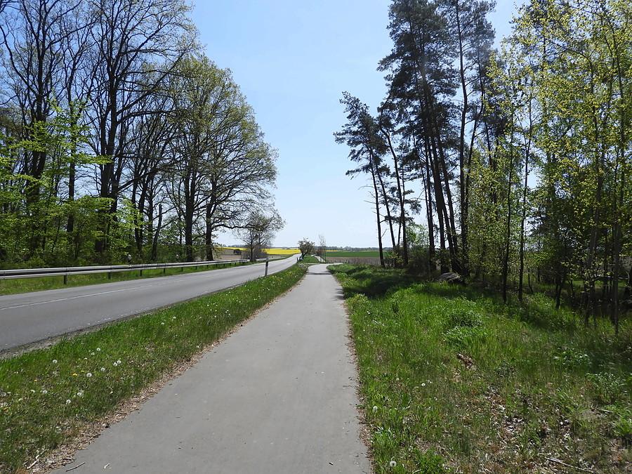 Rowerową ścieżką do Schwennenz.