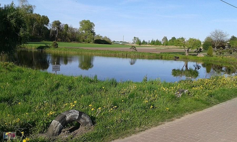 Mniejsza część stawu Kądziołeczka jest "niemal" (teren prywatny) dostępna z ulicy.