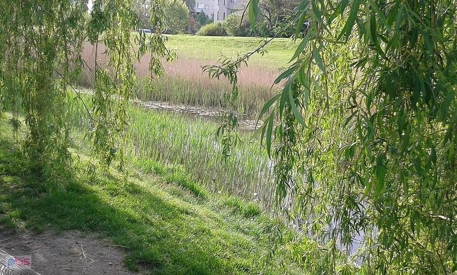 Bernardyńska Struga- jeśli jest woda to tylko pochodząca z opadów