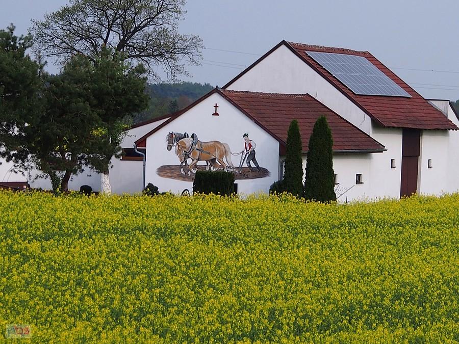 No i zaorał