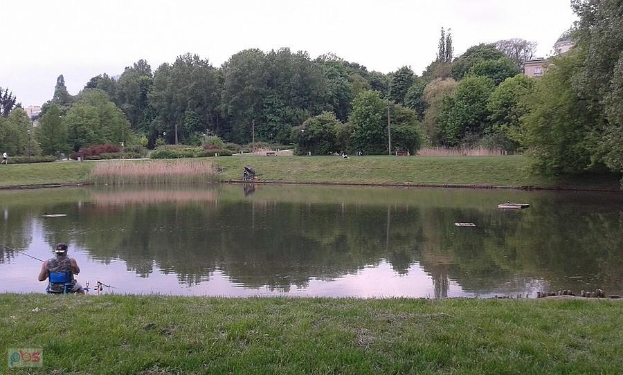 Staw Arkadia musi być na tyle głęboki, że utrzymują się w nim ryby, na co wskazują zasiadki wędkarzy.