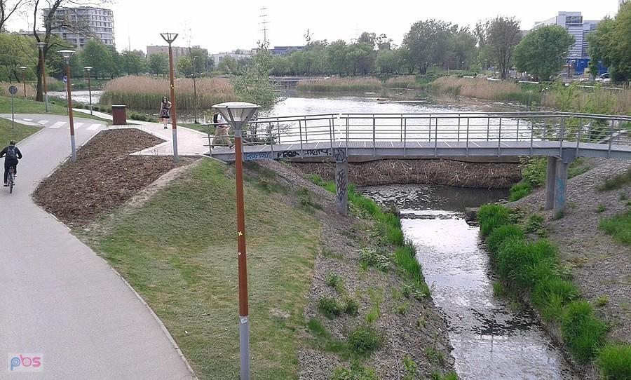 Najbardziej znany i chyba największy ze stawów na Potoku Służewieckim