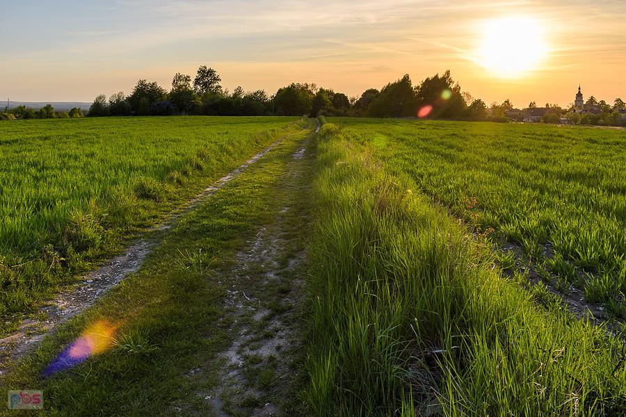 Widok za plecami - Przybynów