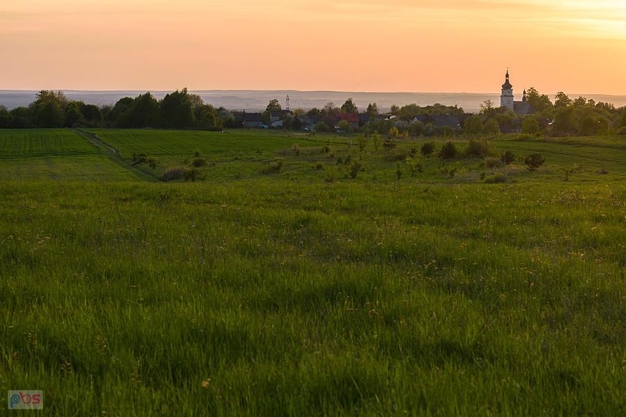 Przybynów
