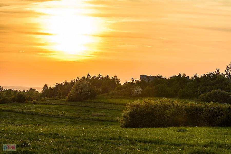 Przybynów