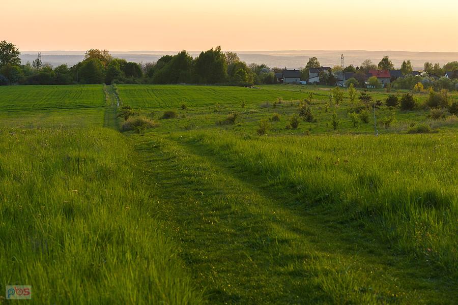 Przybynów