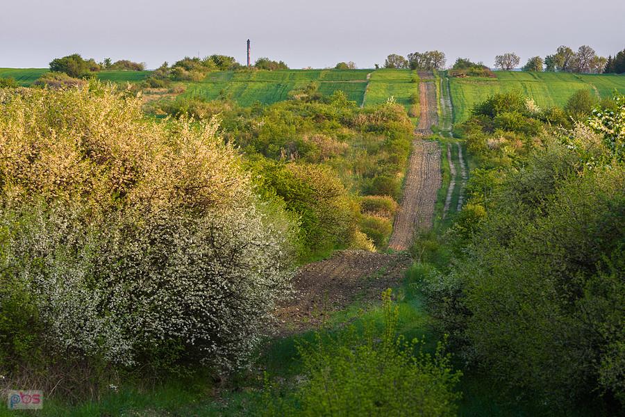 Przybynów - widok w kierunku Wysokiej Lelowskiej i Myszkowa