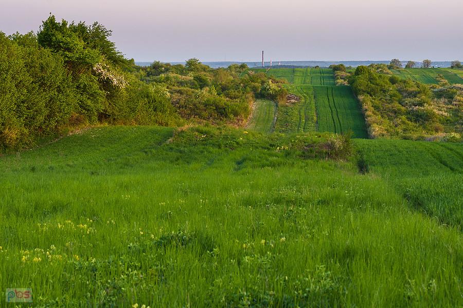 Przybynów - widok w kierunku Myszkowa
