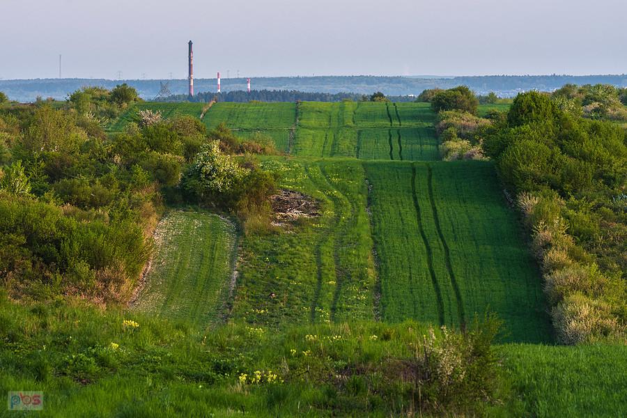 Przybynów - widok w kierunku Myszkowa