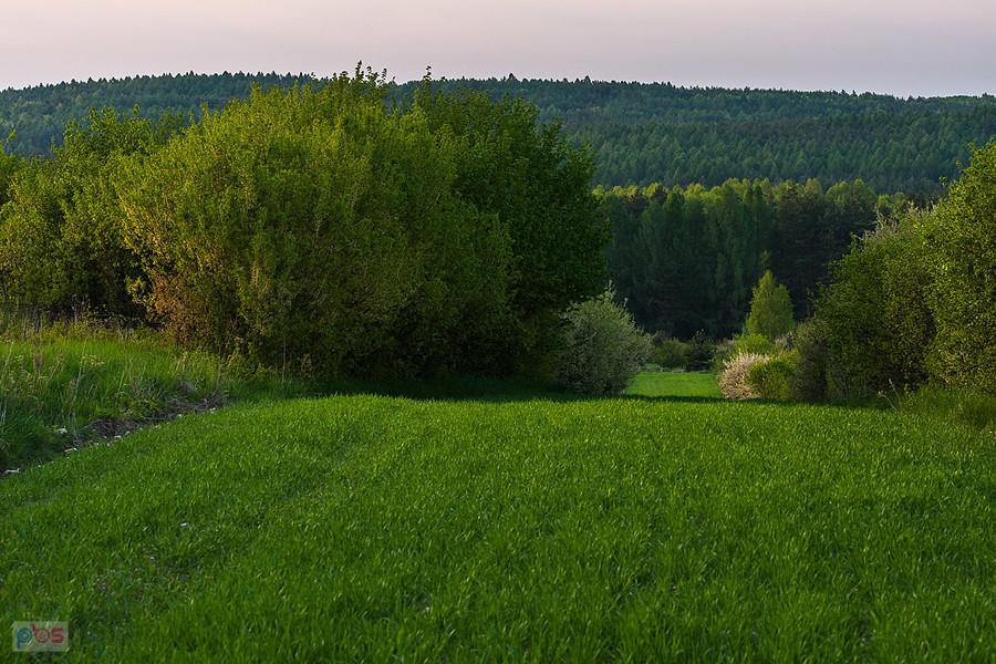 Przybynów - widok na północ